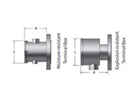 WATTCO™ 12 Inch (in) Flange Size Immersion Heaters - 3